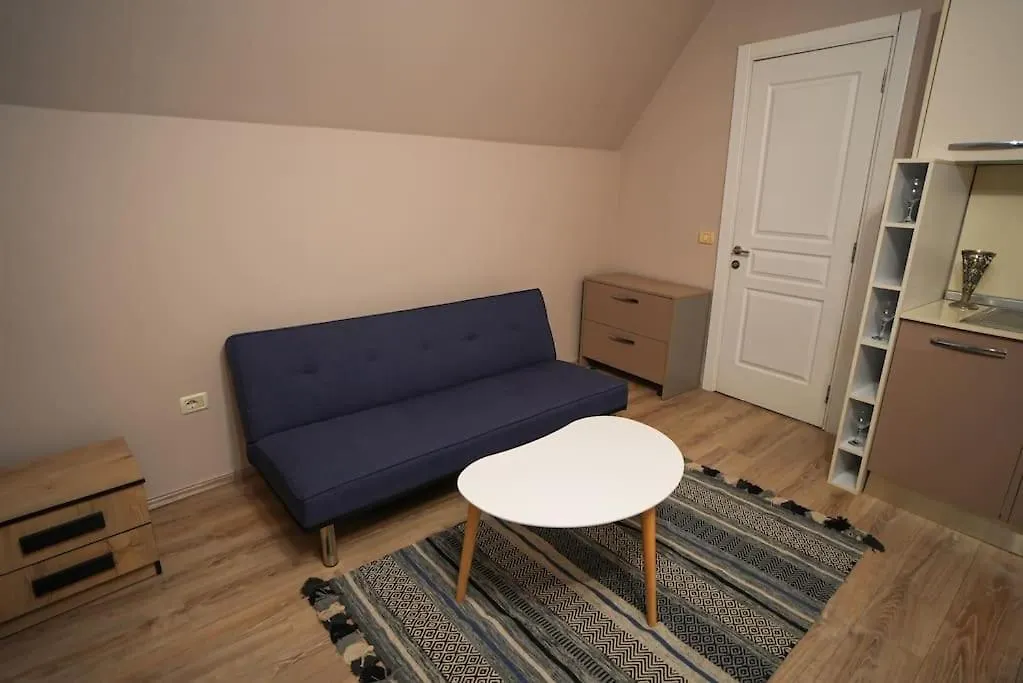 Apartment Grandpa House - Studio App.2 Tirana